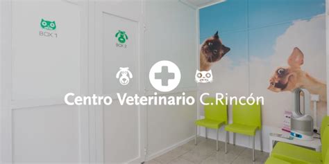 traspaso clinica veterinaria|ImpulsaVets